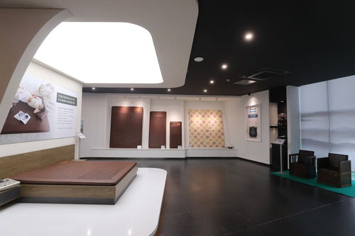 可喜安家庭喜迎新力量，健康咨詢服務為行業注入新活力